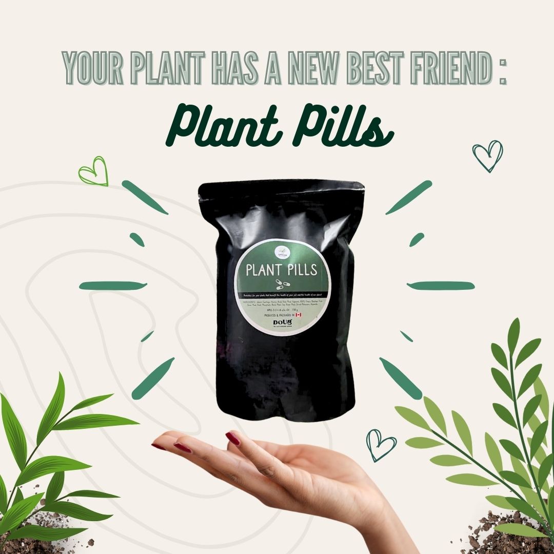 Social media marketing design piece 3