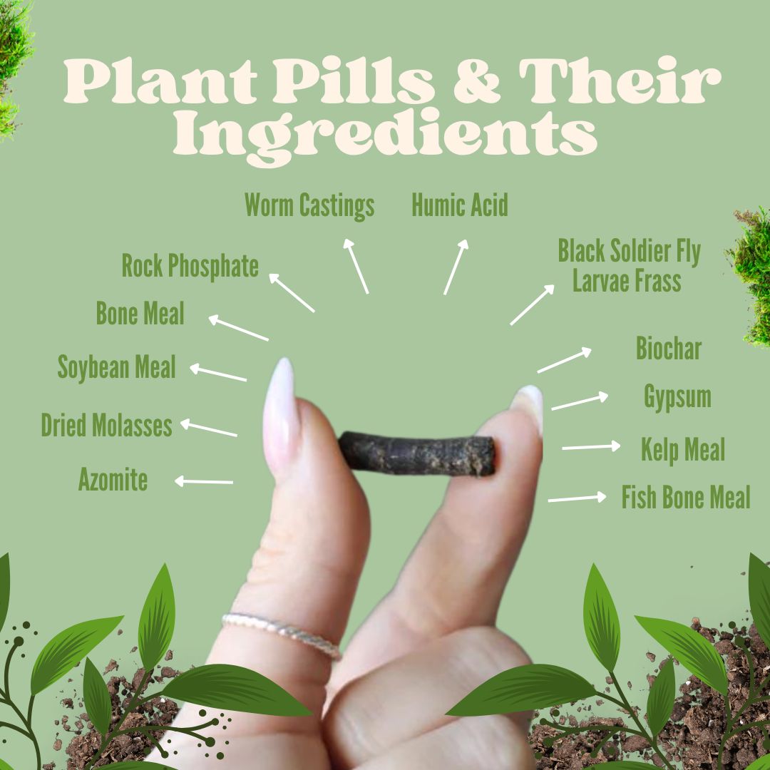 Social media marketing design piece 4