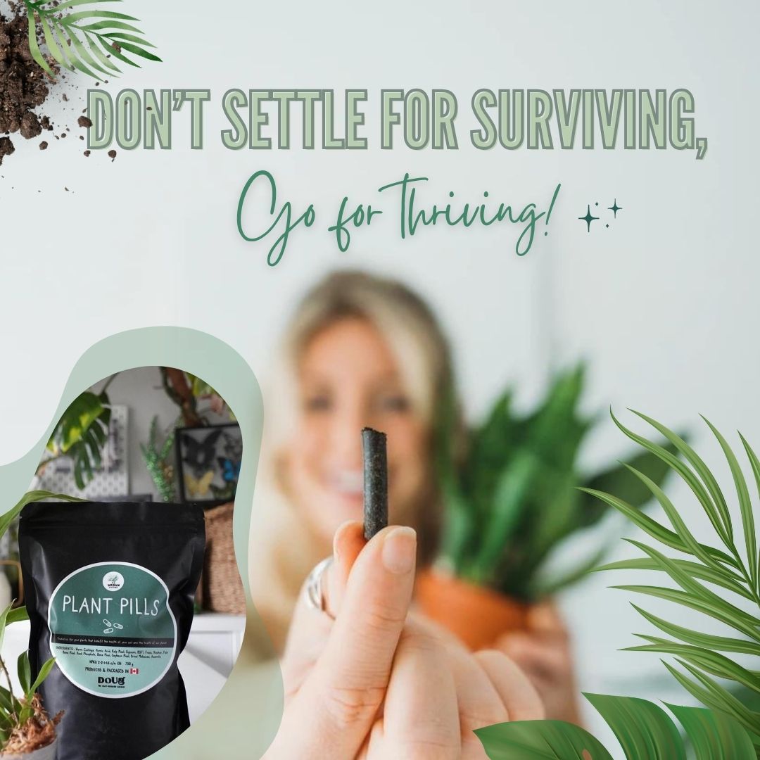 Social media marketing design piece 1