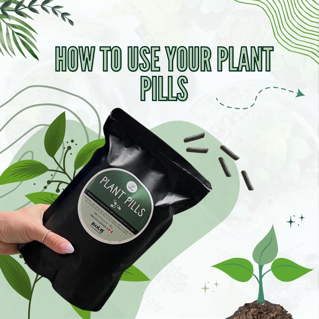 Social media marketing design piece 2